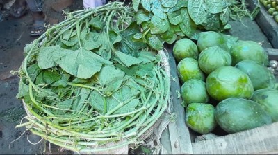 কুমড়ার শাকের কেজি ৯০ টাকা